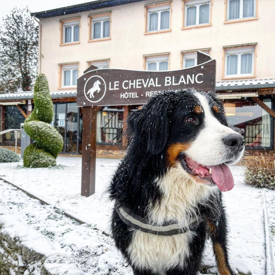 Le Cheval Blanc - Lac Du Der - Logis Hotel Giffaumont-Champaubert Eksteriør bilde